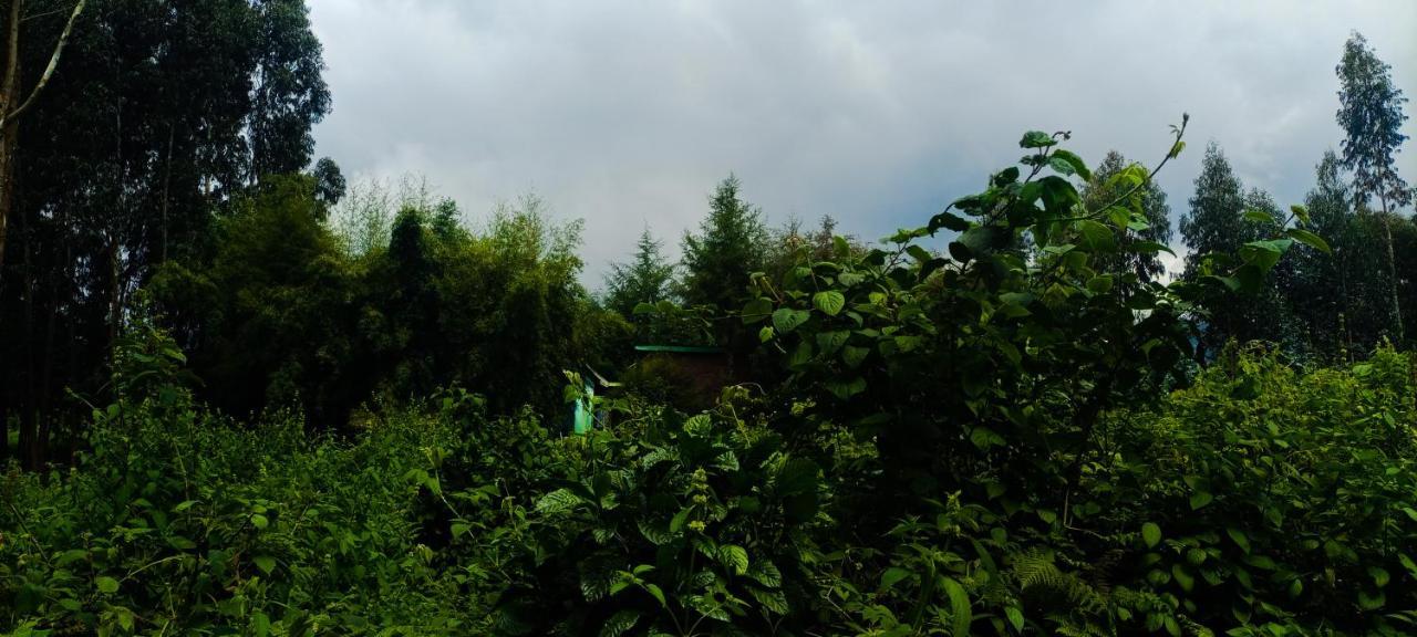 Under Volcanoes View Guest House Nyarugina Buitenkant foto