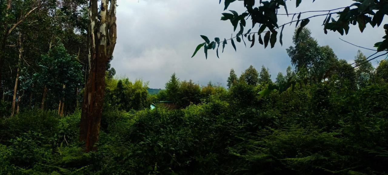 Under Volcanoes View Guest House Nyarugina Buitenkant foto